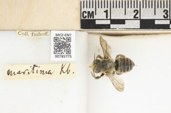 Media type: image;   Entomology 785775 Aspect: labels